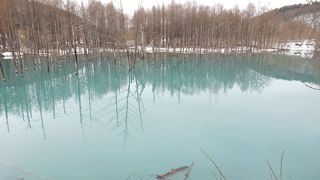 写真で見たような・・・