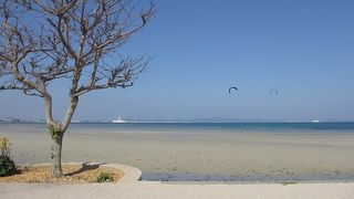 ドライブには向いています。