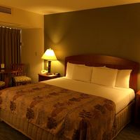 客室キレイです