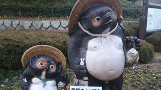 可愛いタヌキがお出迎え