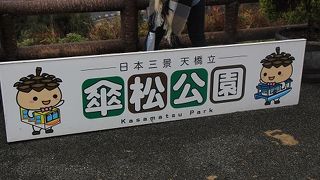 傘松公園