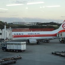 帰り便はJTAの前身である南西航空時代の特別塗装機でした