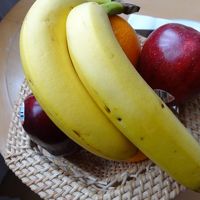 ウェルカムフルーツがYMCAでいただけるなんて嬉しい♪