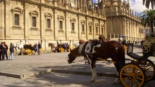 象徴となっている