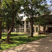 緑溢れる敷地内