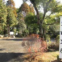 なかなかよいです