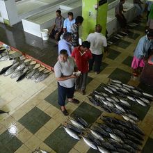 魚市場内部の階段から見下ろした魚売り風景。