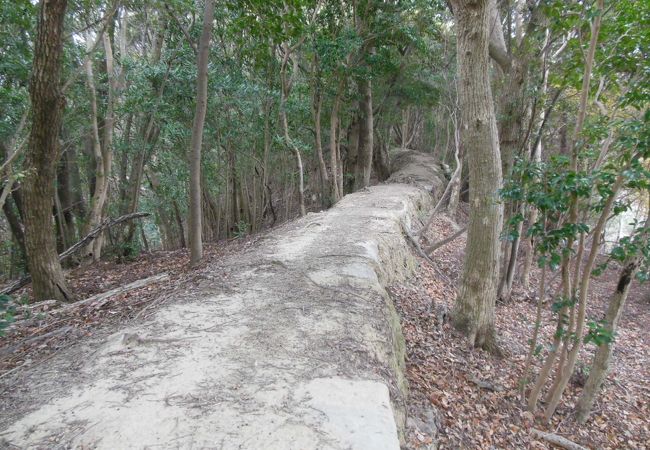 海岸線と古道を満喫