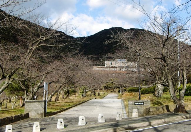 安部山公園