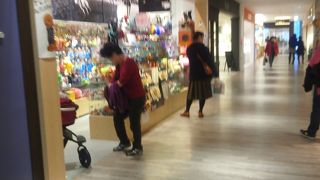 ペット用品のショップです