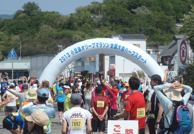 小豆島オリーブマラソン全国大会