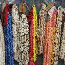 貝はタヒチ産かな？？