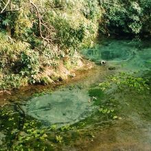 あちらこちら、こんな感じで水が湧いています
