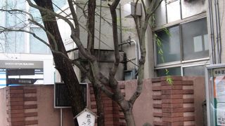 ♪昔懐かし銀座の柳……♪と口ずさみたくなる場所。