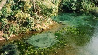 水の豊かさに感激