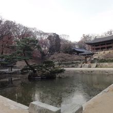 こんな風景やら