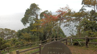 バスでケープ真鶴まで