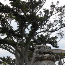 シーサーも園内にいっぱい。お気に入りは・・・