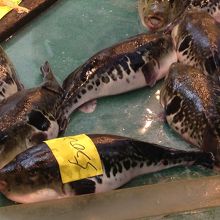 黒門名物のふぐ