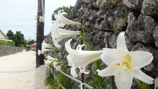 沖縄を感じられる町並み