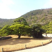 栗林公園も近いです。