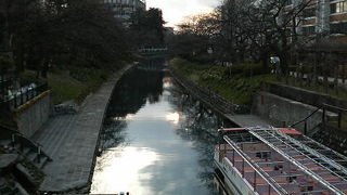 富山城そばで桜を見ながらの舟遊びも可能