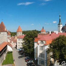 窓ガラスの汚れがひどい。