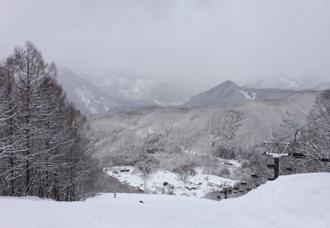 パウダーに当たると最高！