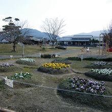 公園内