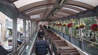 夜も見学しました