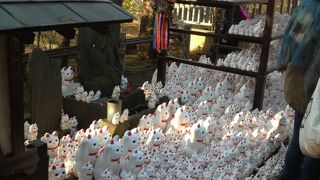 招き猫発祥のお寺