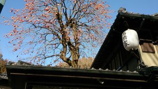 高尾で一番混むお蕎麦屋ではなかろうか