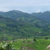 中国国民党の子孫が住まうお茶の産地
