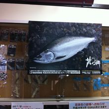 ボート屋さんでもあります