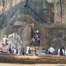 岩の中腹のライオンの足