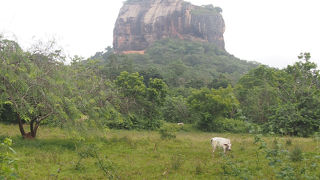 噂通りの景観でした。人間とはなんてことをするのかしら。