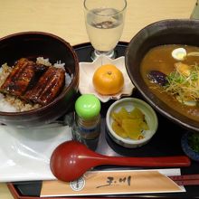 豊橋カレーうどんとミニうな丼のセット