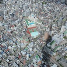 スカイツリ−から真下を覗くと・・・