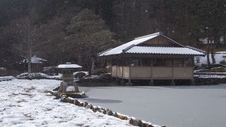 雪化粧が綺麗でした