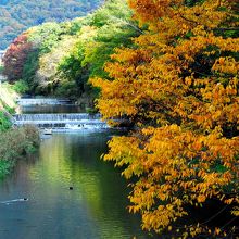 蓮華寺満員でも周辺の紅葉は綺麗でした