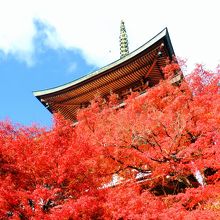 蓮華寺満員でも周辺の紅葉は綺麗でした