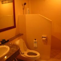 スーペリアルバンガロータイプ