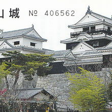 入城券。乗り物とセット