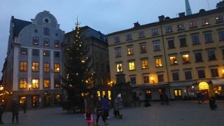 見どころたくさん