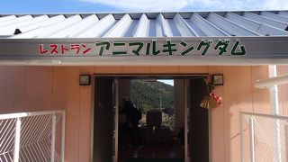 アニマルキングダムの食事はここ