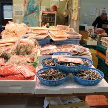 魚だらけです。