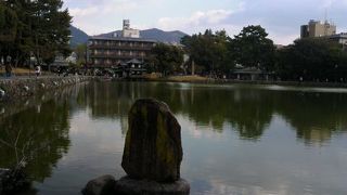 さるさわのいけ