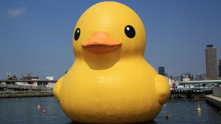 2013年のラバーダック展示会場。