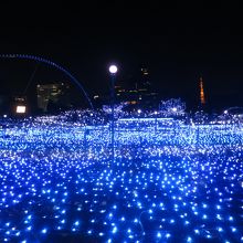 冬のクリスマスイルミネーション