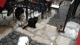 ニャンコ好きにはたまらない心が和むレストラン